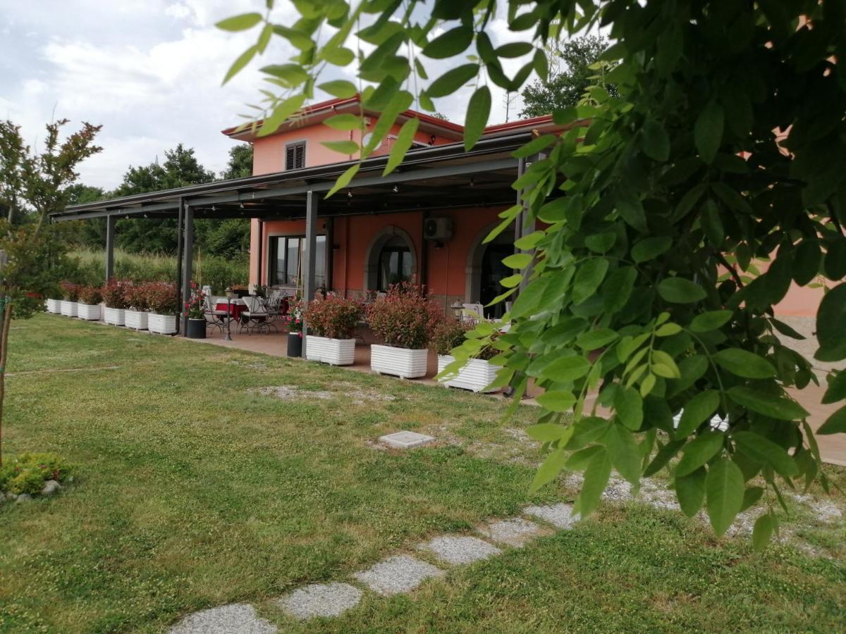 Salisu Country House Mignano Monte Lungo Εξωτερικό φωτογραφία