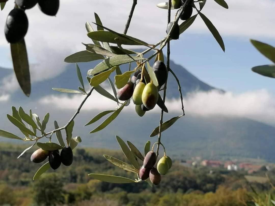 Salisu Country House Mignano Monte Lungo Εξωτερικό φωτογραφία